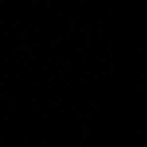 Meet your Posher, Kendall